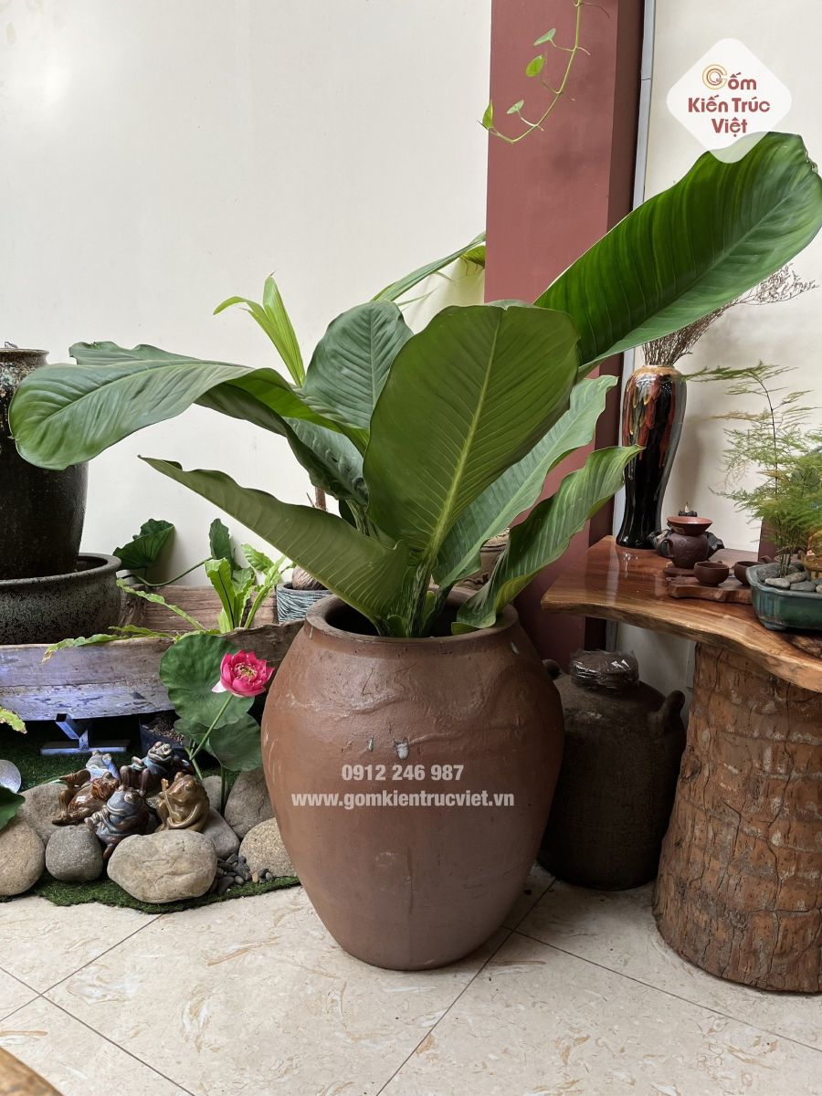 Gợi ý mẫu chậu đất nung trồng cây Tết