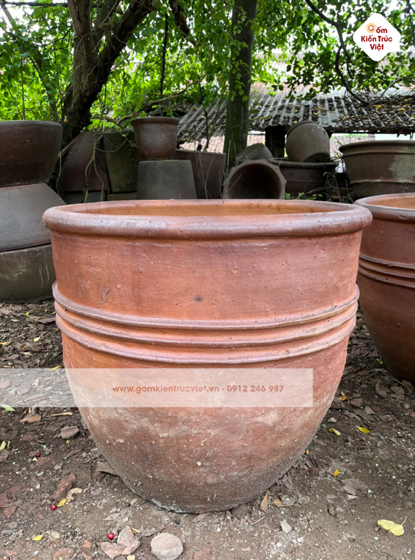 Gợi ý mẫu chậu đất nung trồng cây Tết