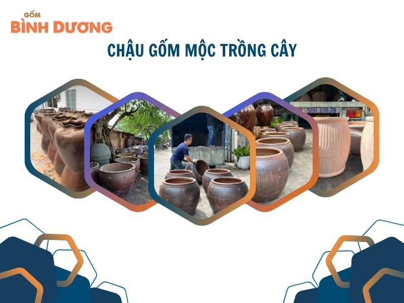 Sản phẩm chậu gốm mộc trồng cây