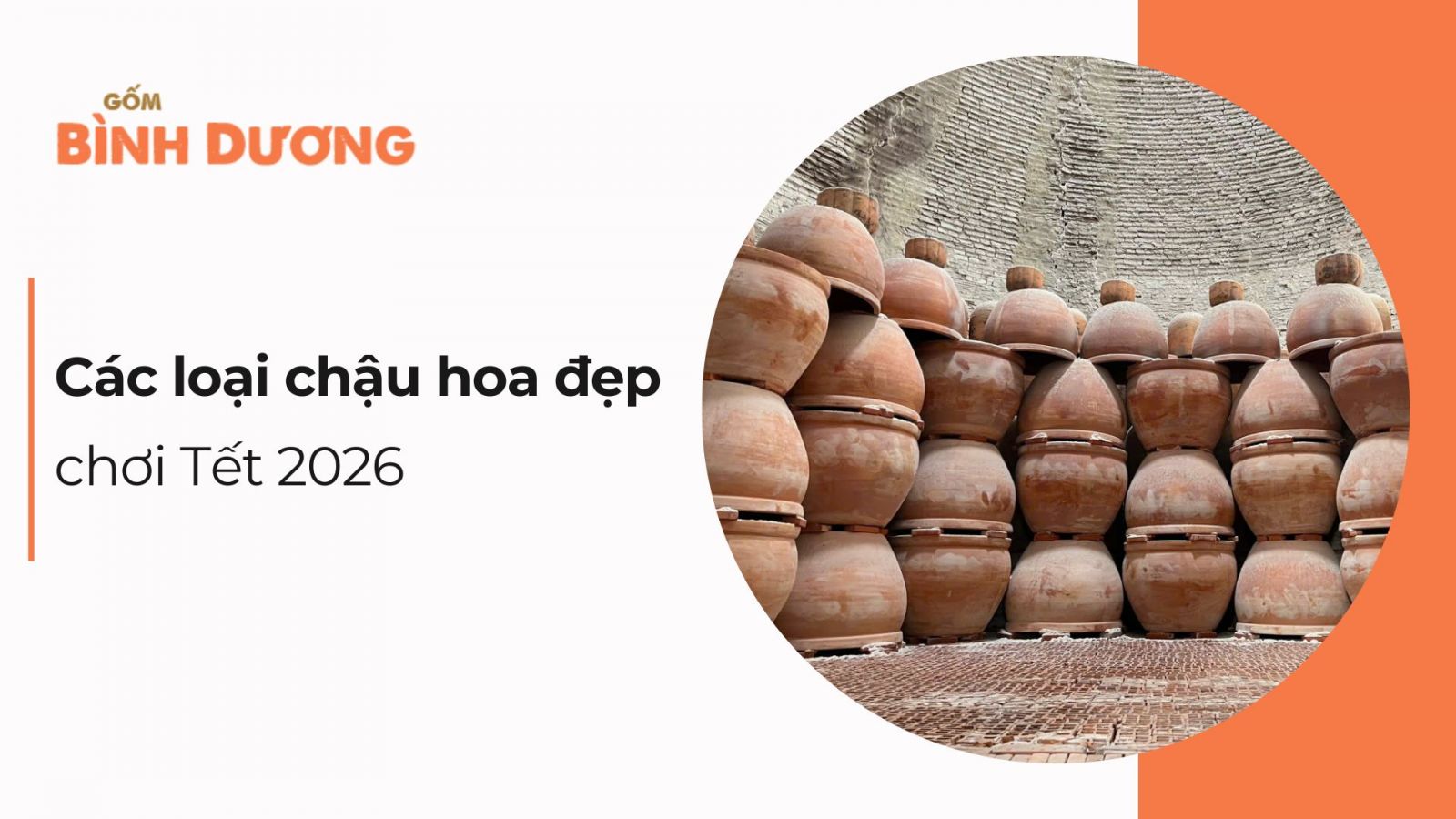 Các loại chậu hoa đẹp chơi Tết 2026