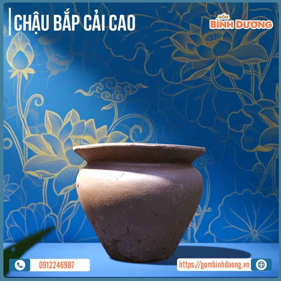 chau-dat-nung-dang-bap-cai-cao