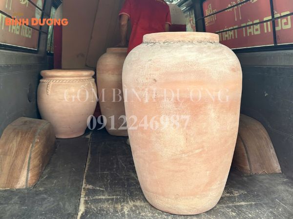chậu cây đẹp 1