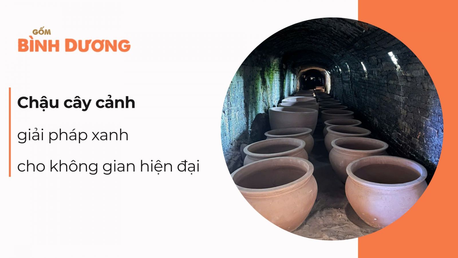 Chậu cây cảnh bằng gốm: giải pháp xanh cho không gian sống hiện đại