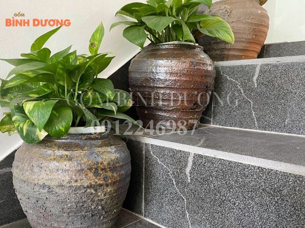 những mẫu chậu cây để cầu thang
