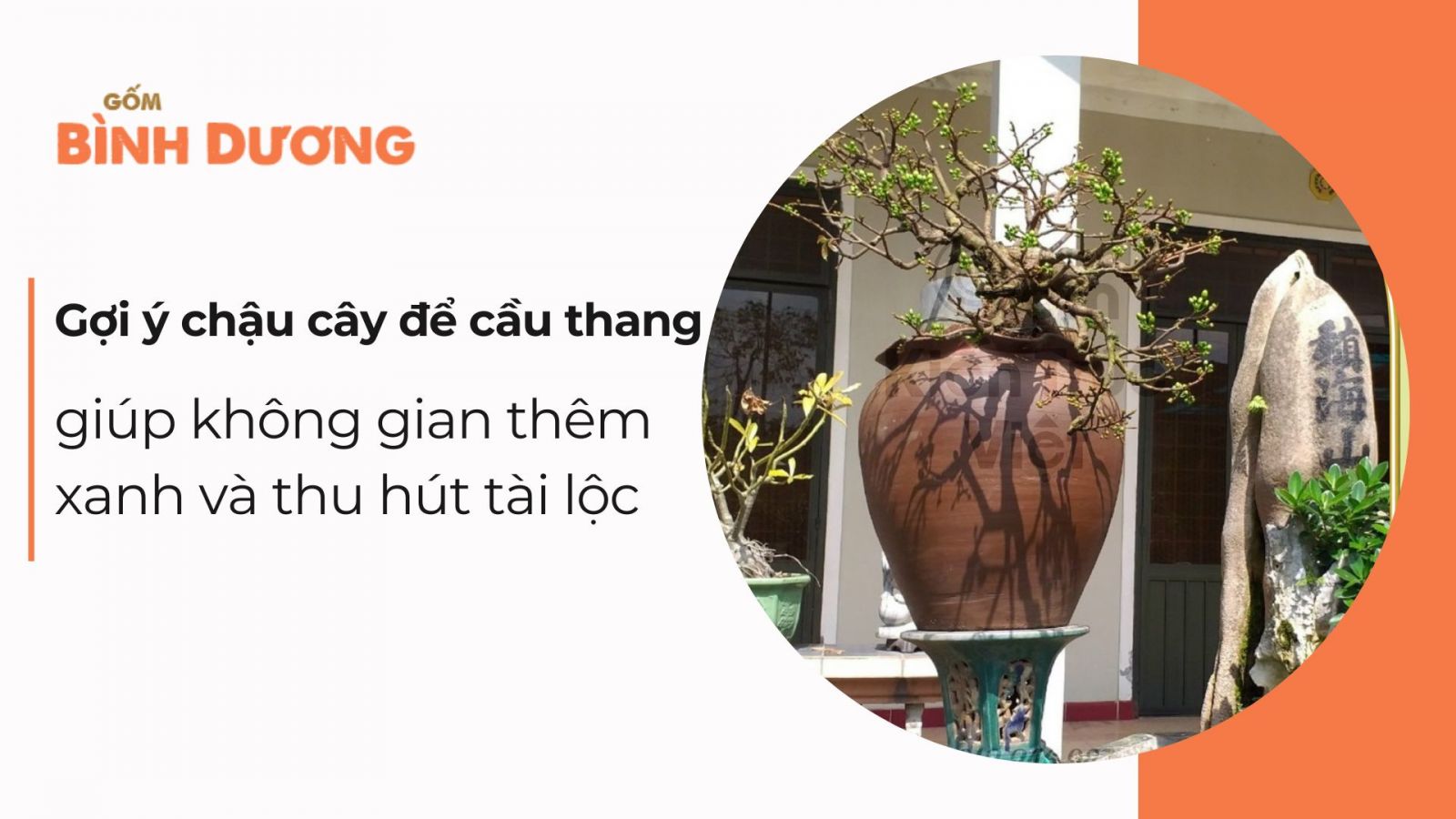 Gợi ý chậu cây để cầu thang giúp không gian thêm xanh và thu hút tài lộc