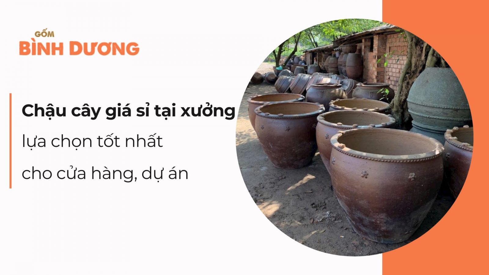 Chậu cây giá sỉ tại xưởng - lựa chọn tốt nhất cho cửa hàng, dự án