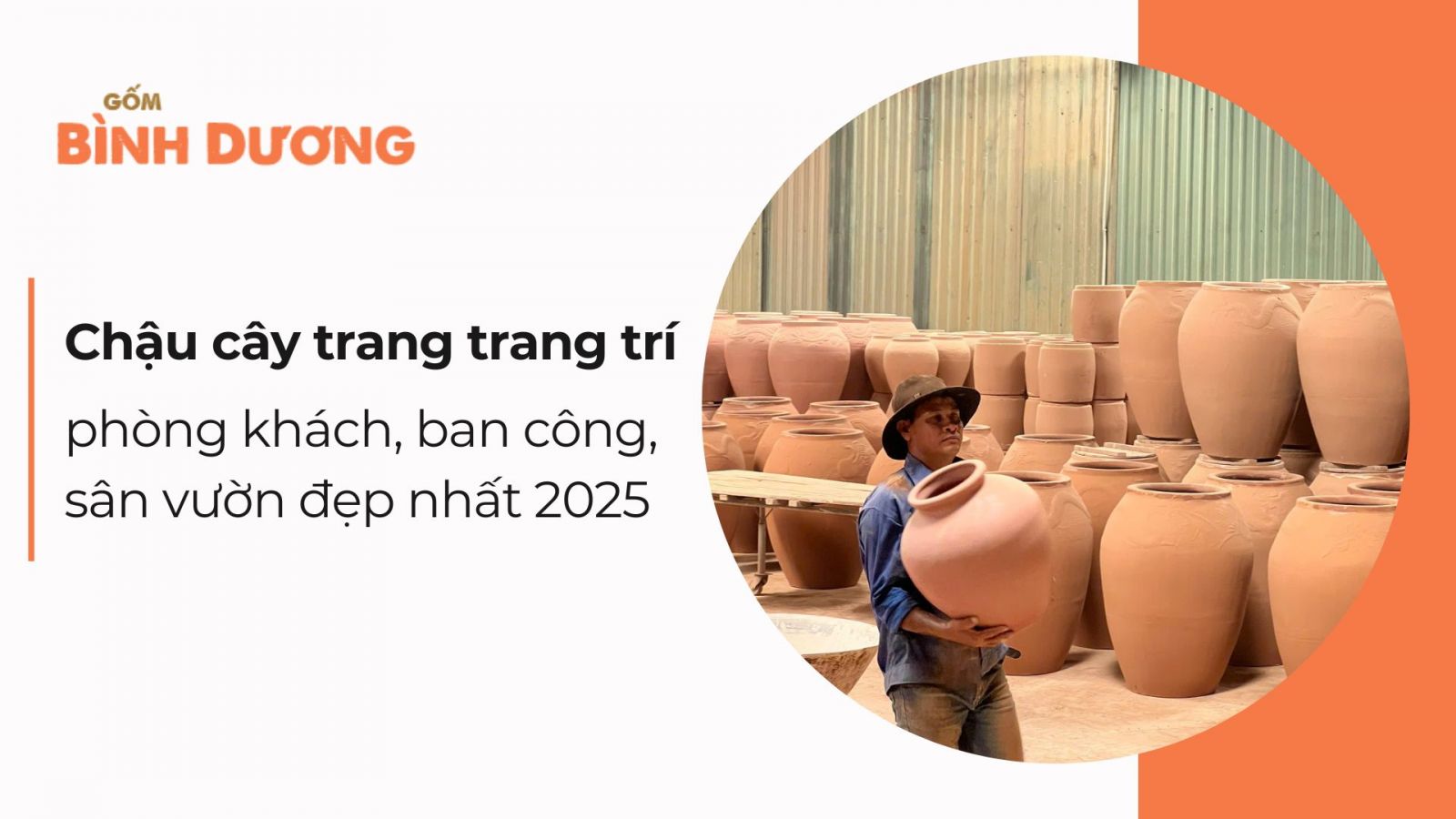 Chậu cây trang trí phòng khách, ban công, sân vườn đẹp nhất 2025