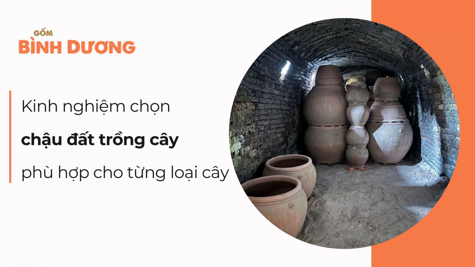 Kinh nghiệm chọn chậu đất trồng cây phù hợp cho từng loại cây cảnh