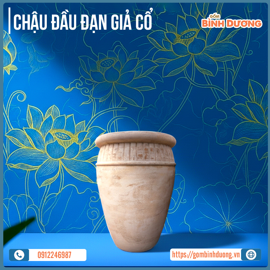 chau-dau-dan-gia-co