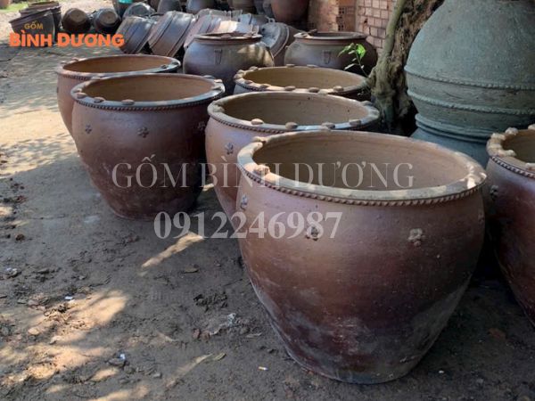 chậu gốm bonsai Bình Dương