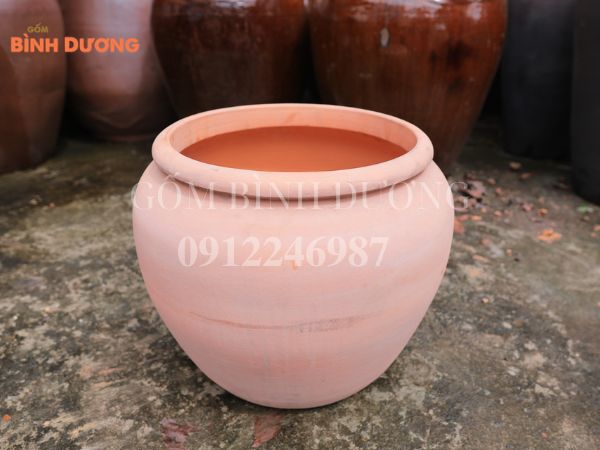 chậu gốm đẹp trồng lan