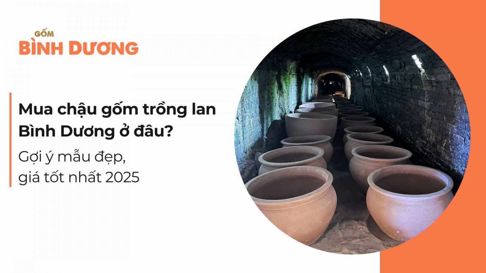 Mua chậu gốm trồng lan Bình Dương ở đâu? Gợi ý mẫu đẹp, giá tốt nhất 2025