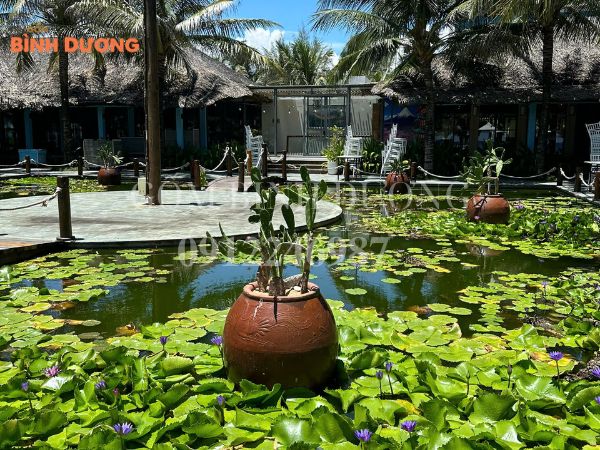 chum sành trang trí sân vườn