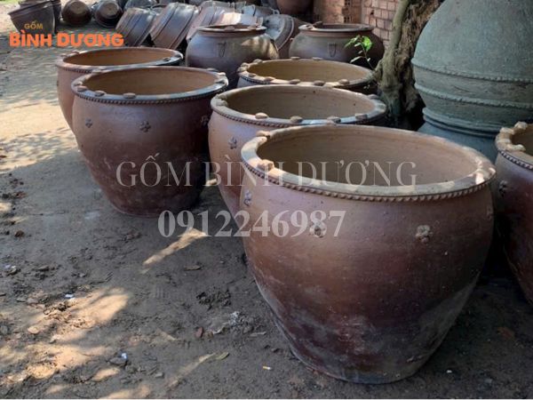giá bán chậu cây cảnh cỡ lớn