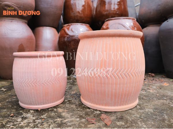 chậu cây cảnh cỡ lớn giá bán