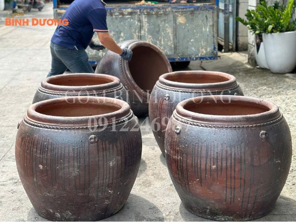 lu vú trồng cây